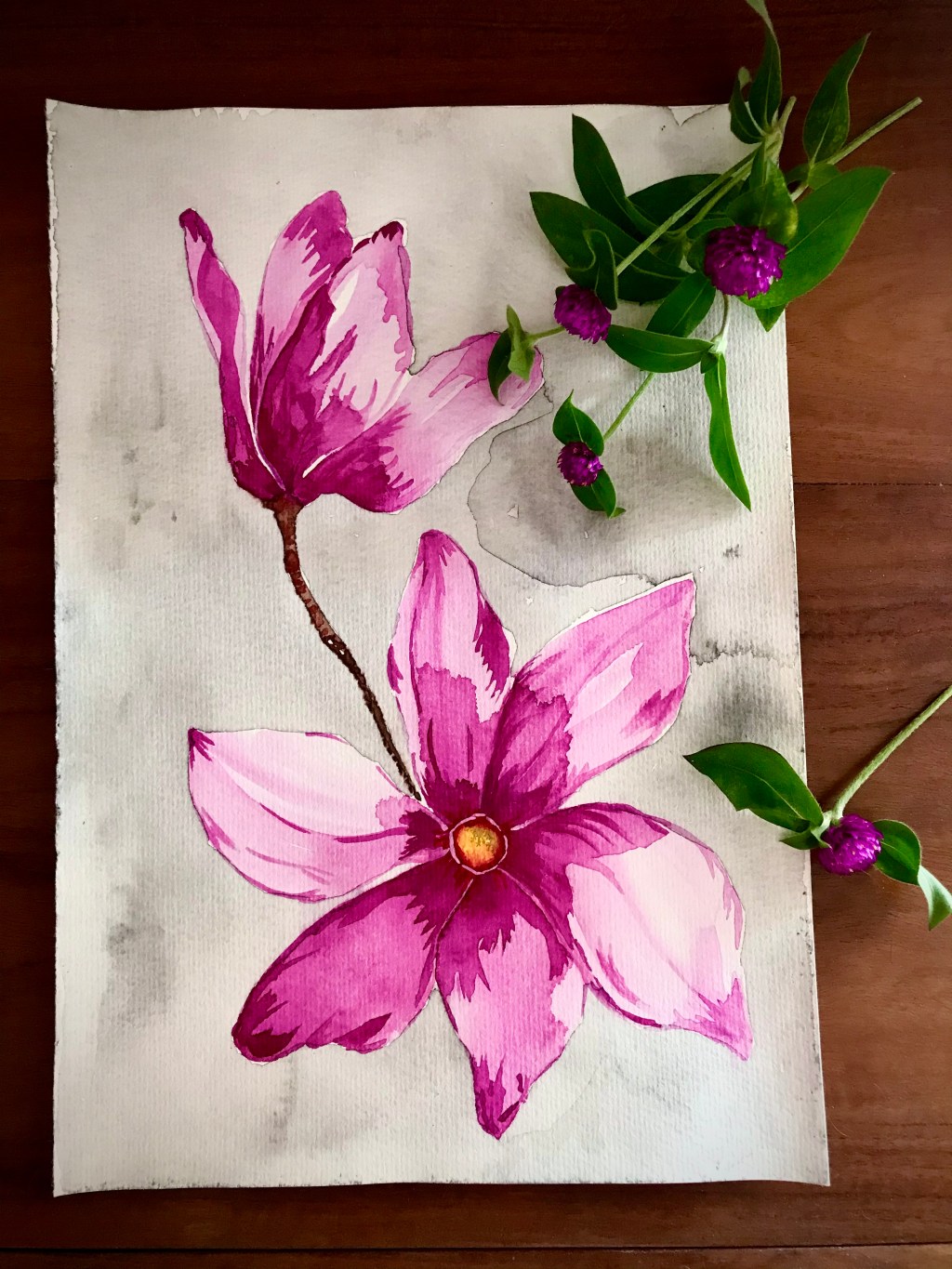 The Awakening Collection