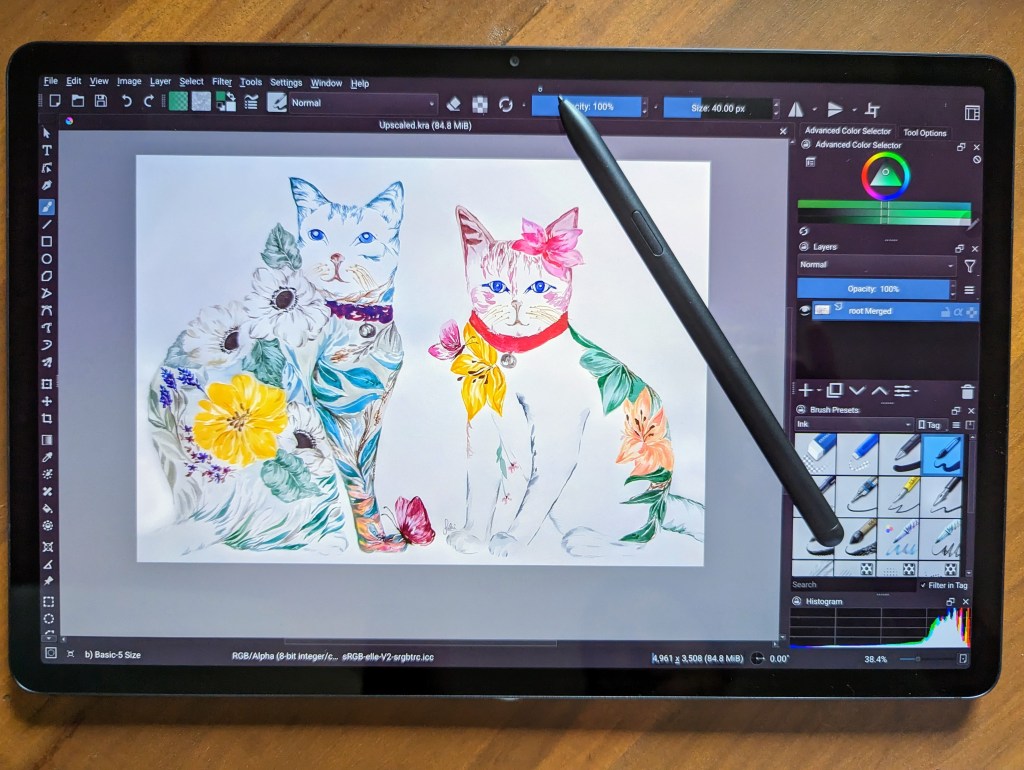 Getting an original done as a digitised edition.